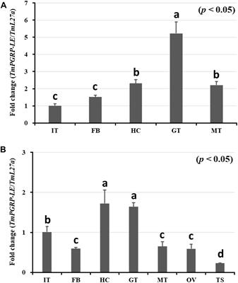 Tenebrio molitor PGRP-LE Plays a Critical Role in Gut Antimicrobial Peptide Production in Response to Escherichia coli